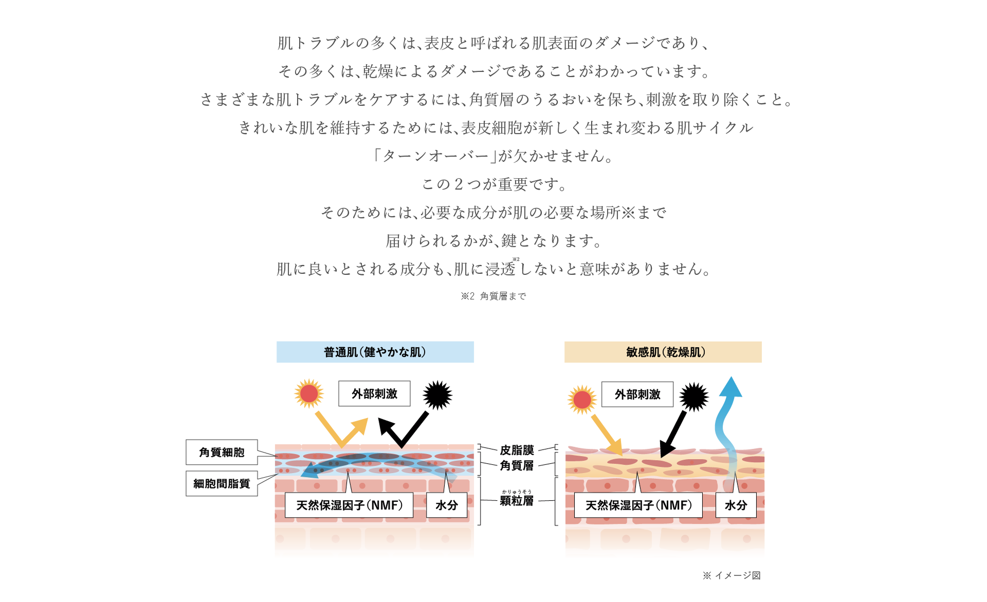 肌トラブルの多くは、