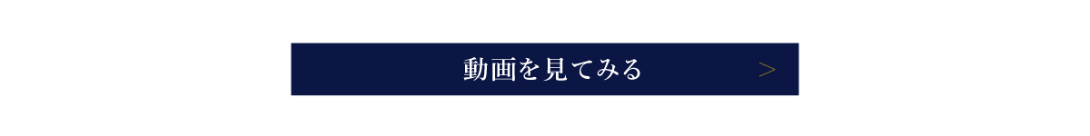 動画を見てみる