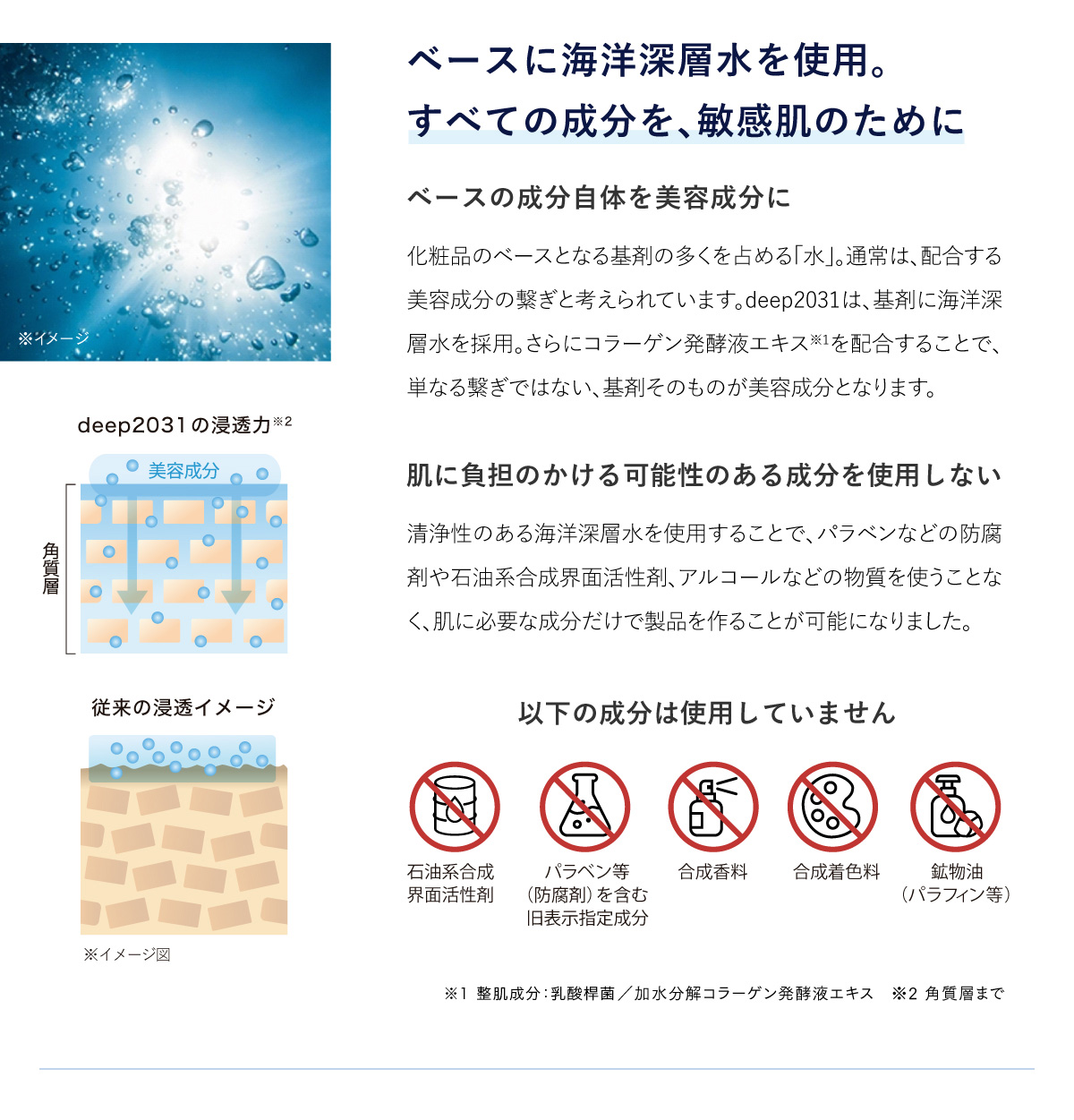 ベースに海洋深層水を使用