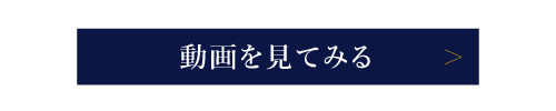 動画を見てみる