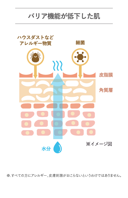バリア機能が低下した肌