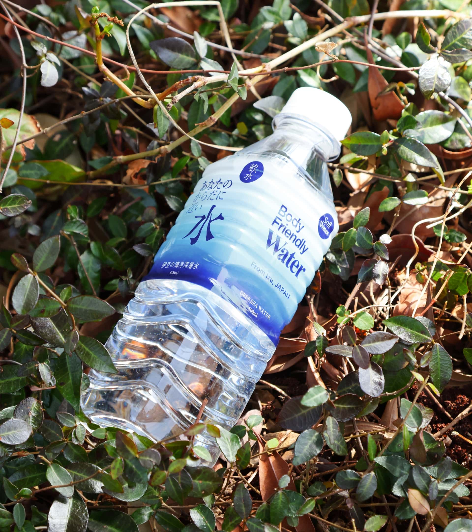 1000年の旅を終えた水