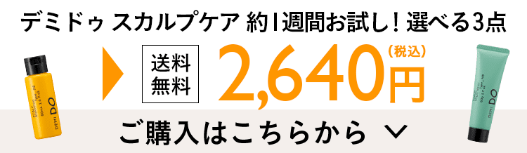 送料無料 デミドゥ ファーストスカルプケア限定セット 数量限定早い者勝ち！980円（税込）購入