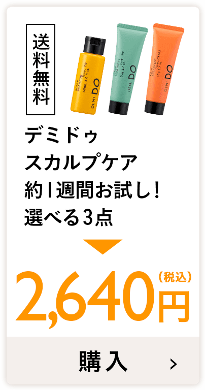 送料無料 デミドゥ ファーストスカルプケア限定セット 数量限定早い者勝ち！980円（税込）購入