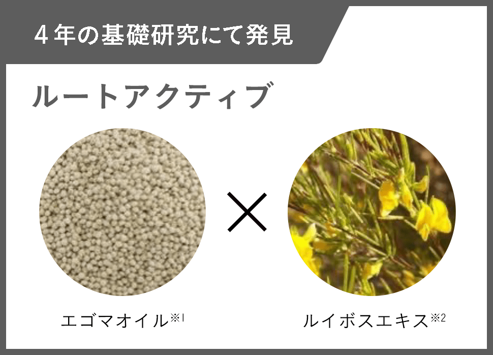 髪の土台をつくる司令塔 ルートアクティブ エゴマオイル※1 ルイボスエキス※2