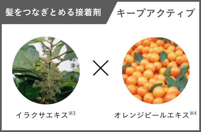 髪をつなぎとめる接着剤 キープアクティブ イラクサエキス※3 オレンジピールエキス※4