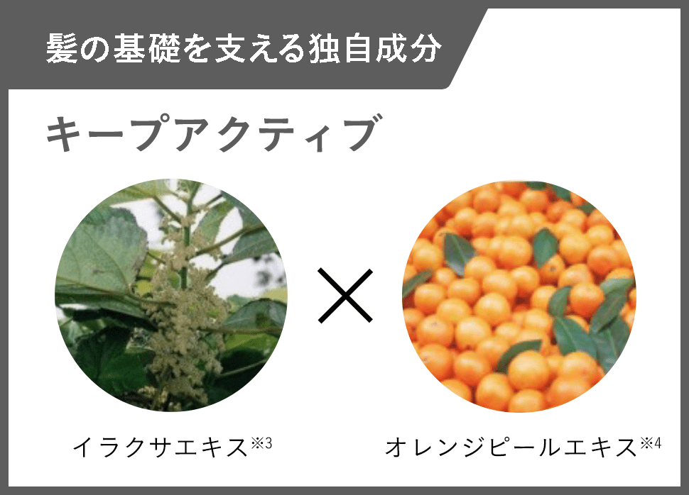 髪をつなぎとめる接着剤 キープアクティブ イラクサエキス※3 オレンジピールエキス※4