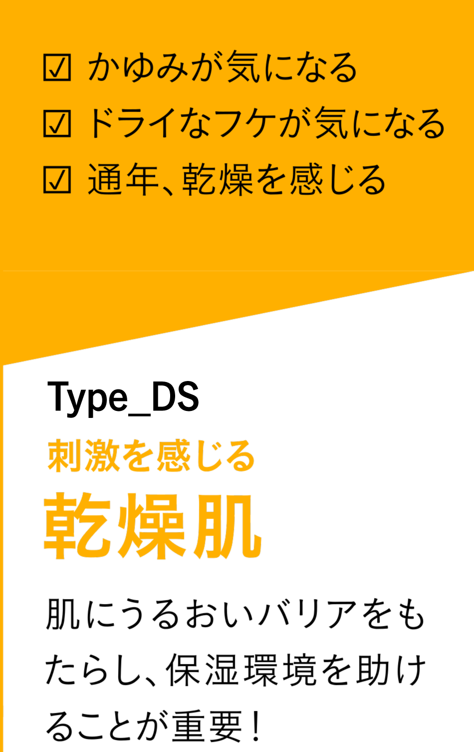 かゆみが気になる　ドライなフケが気になる　通年、乾燥を感じる　Type-DS　刺激を感じる　乾燥肌　肌にうるおいバリアをもたらし、保湿環境を助けることが重要！