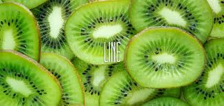 畑山テストLP商品(単品)