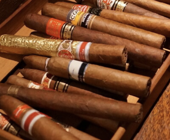 サンプルTシャツ(赤)