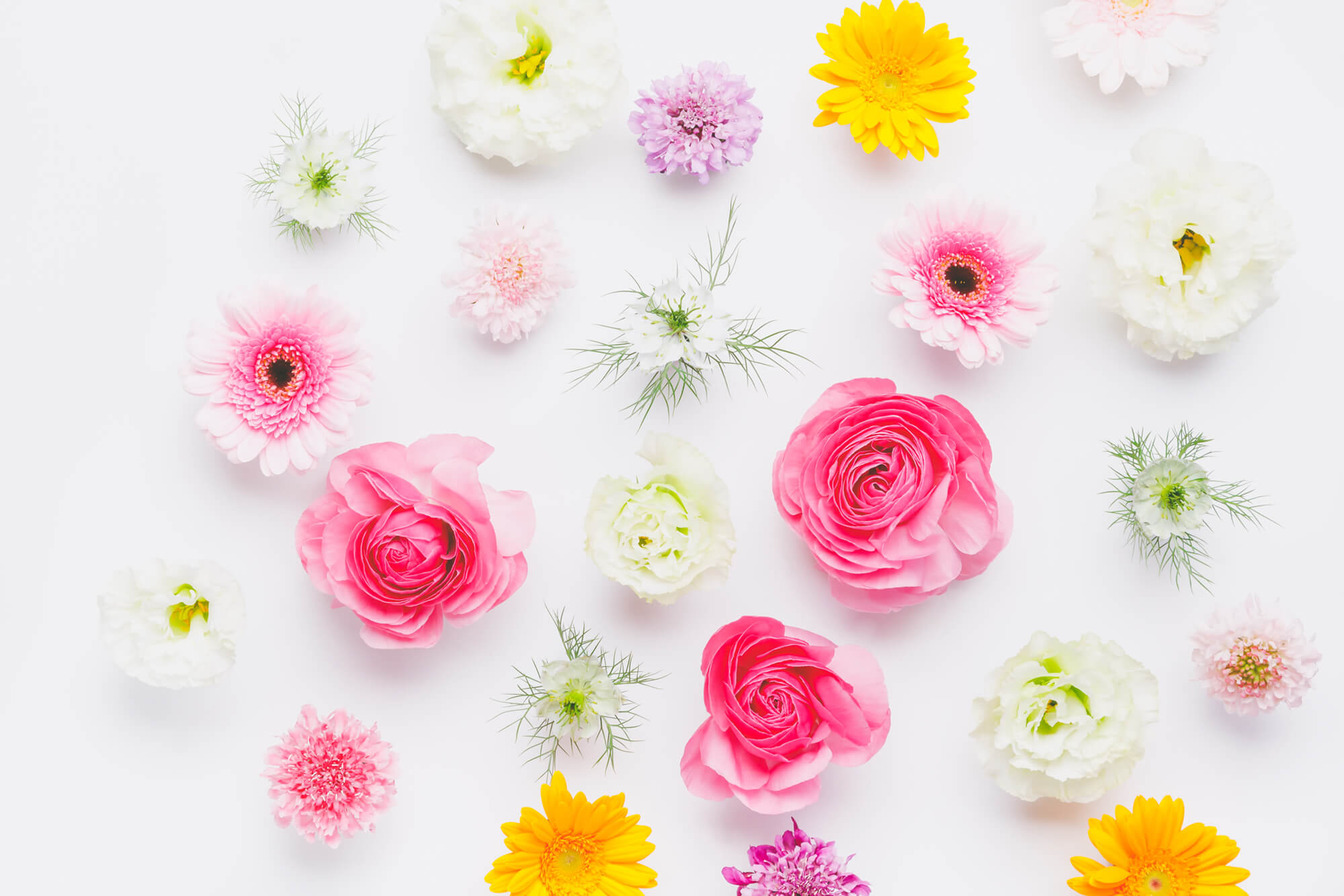 大津プロテイン