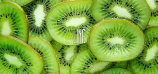 畑山テストLP商品(単品)