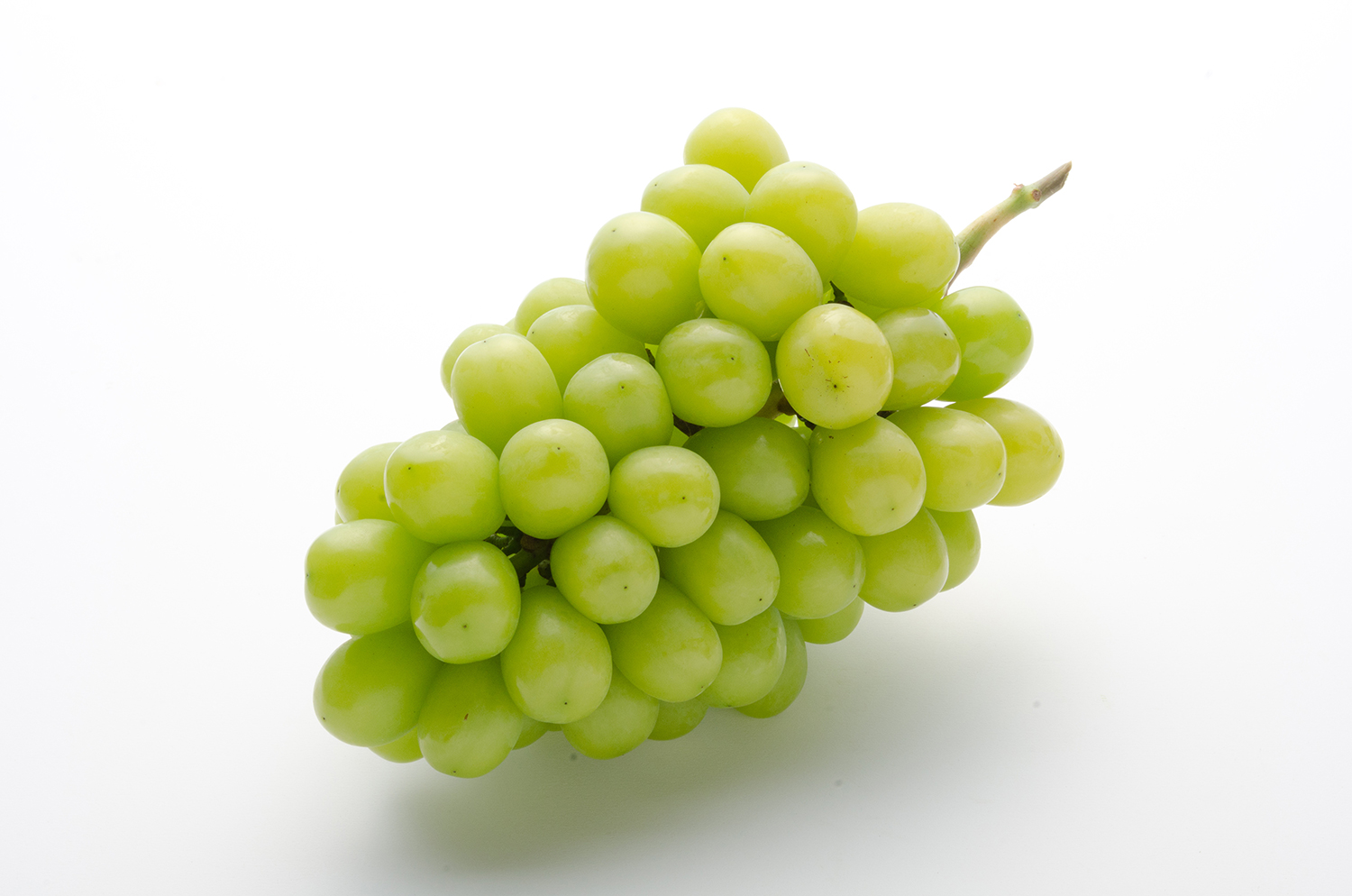 マスカット（定期）【NKN】