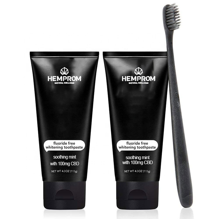 【数量限定】HEMPROM Dental Paste