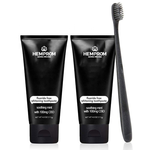 【数量限定】HEMPROM Dental Paste