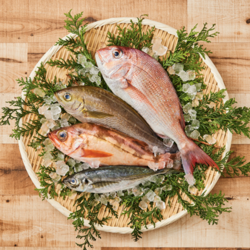 プロにおまかせ鮮魚BOX(2-3名用）