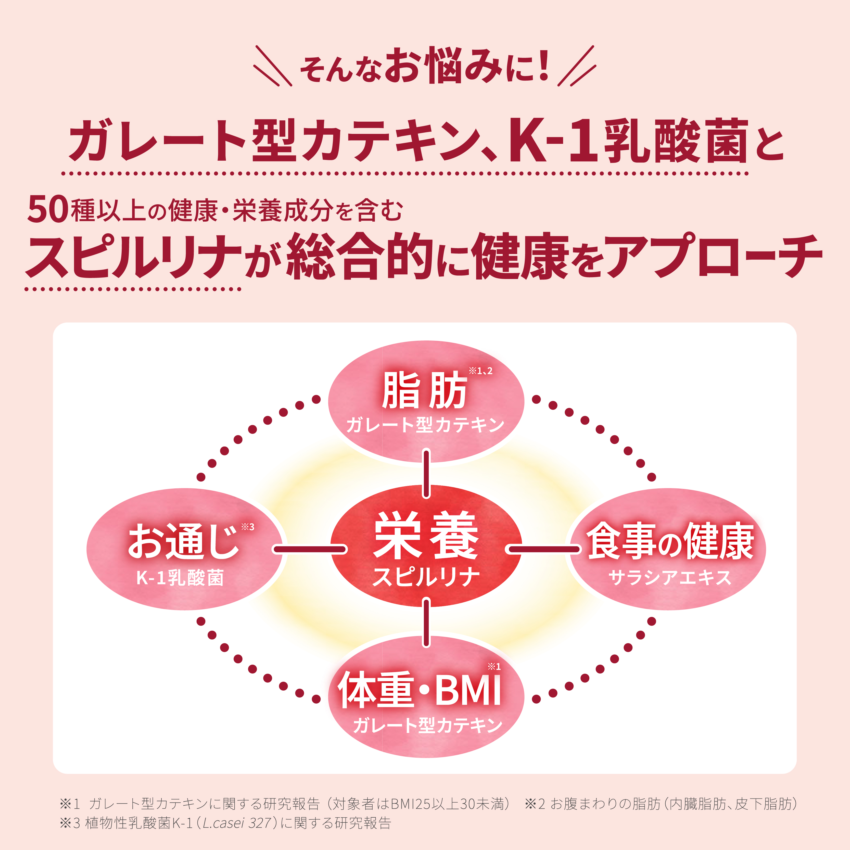 メタシールド240粒