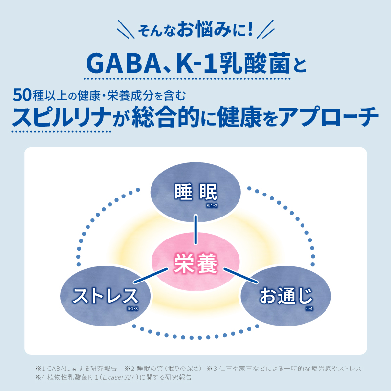 ネルエイド 240粒