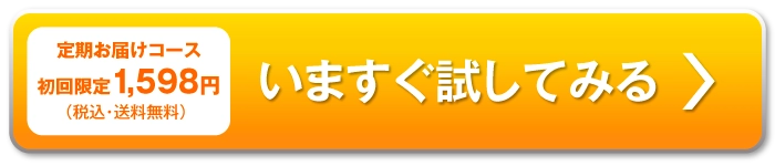 今すぐ試してみる