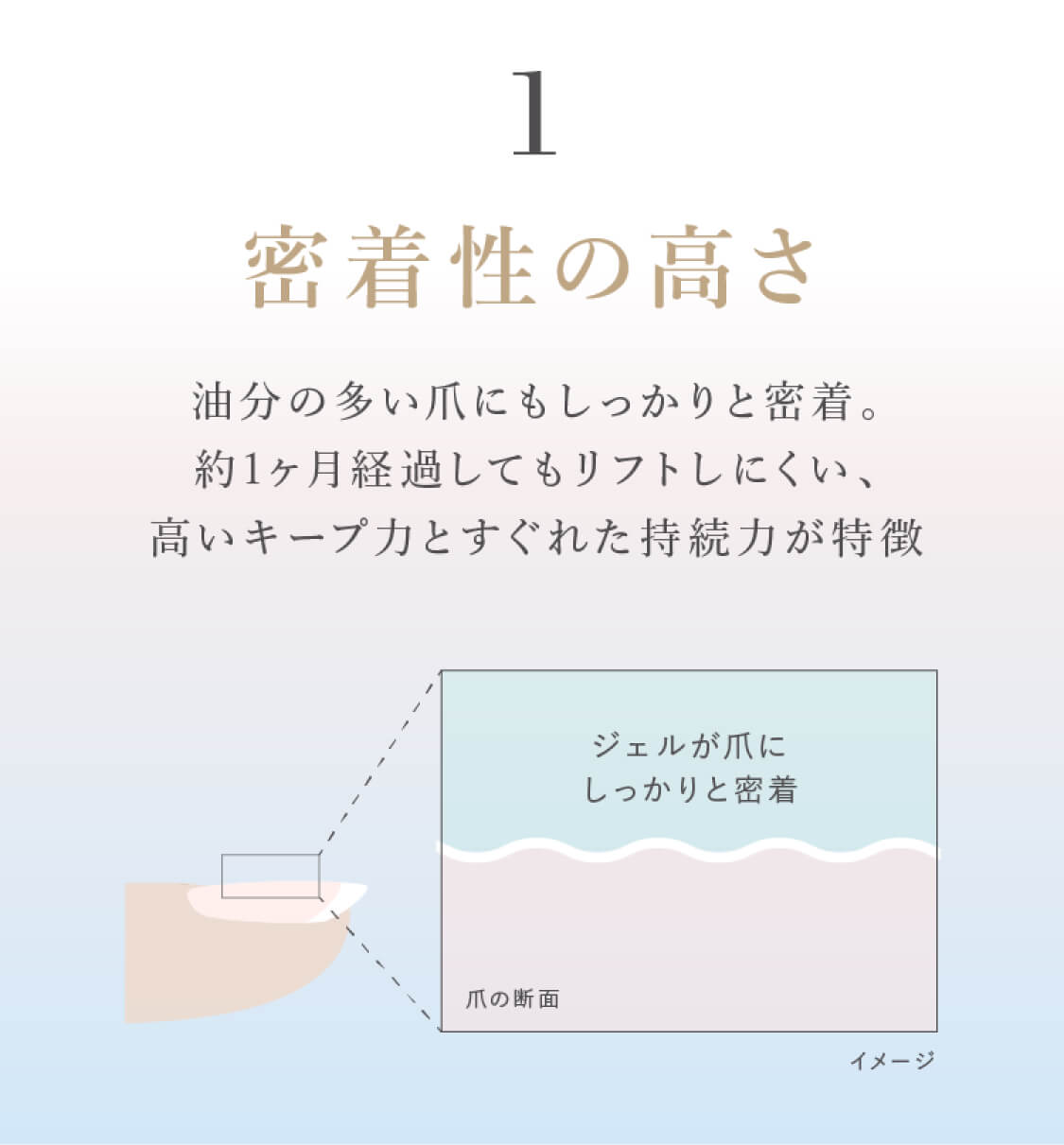 密着性の高さ