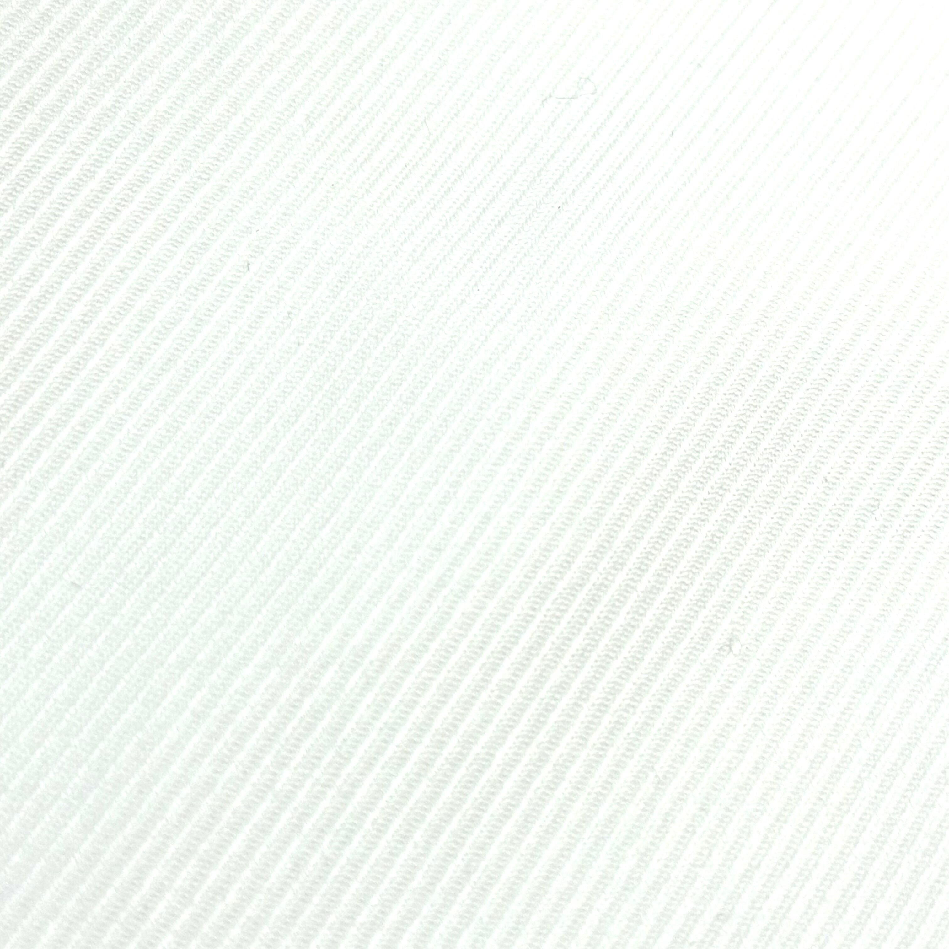 ベーシック×バイヤス織 長袖シャツ｜ホワイト・3L