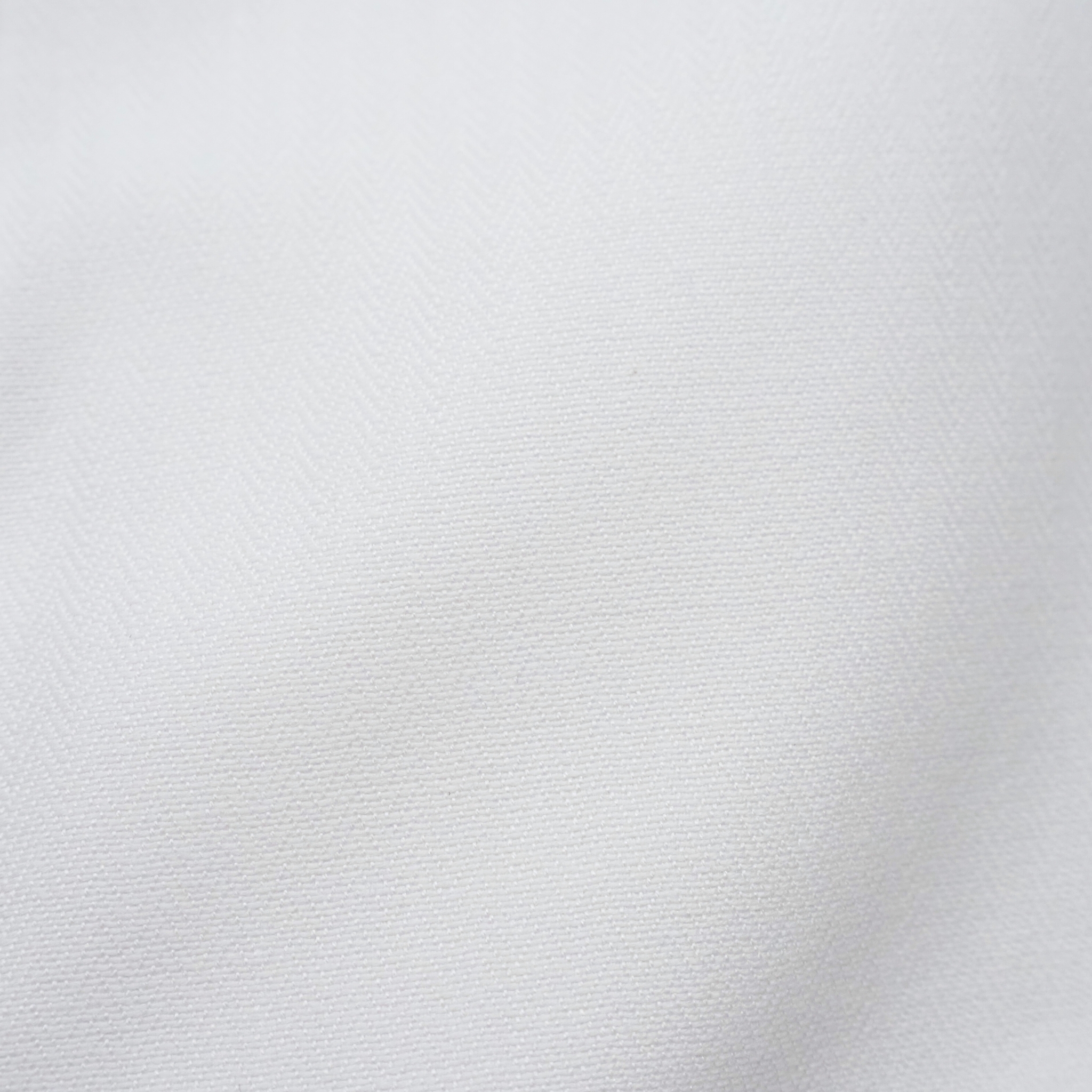 【長袖 L】左カフスバタフライ刺繍シャツ