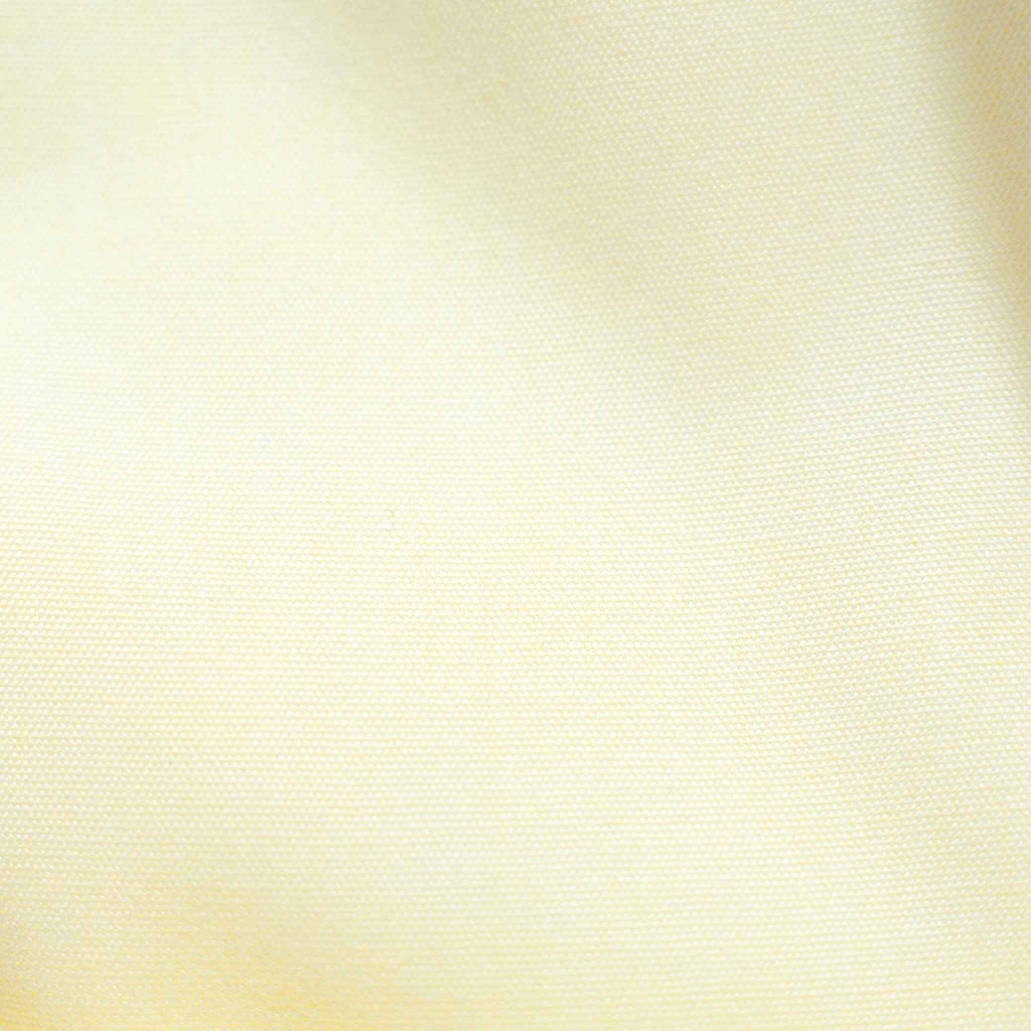 【Disney／グーフィー】刺繍ワイシャツ  3Lサイズ