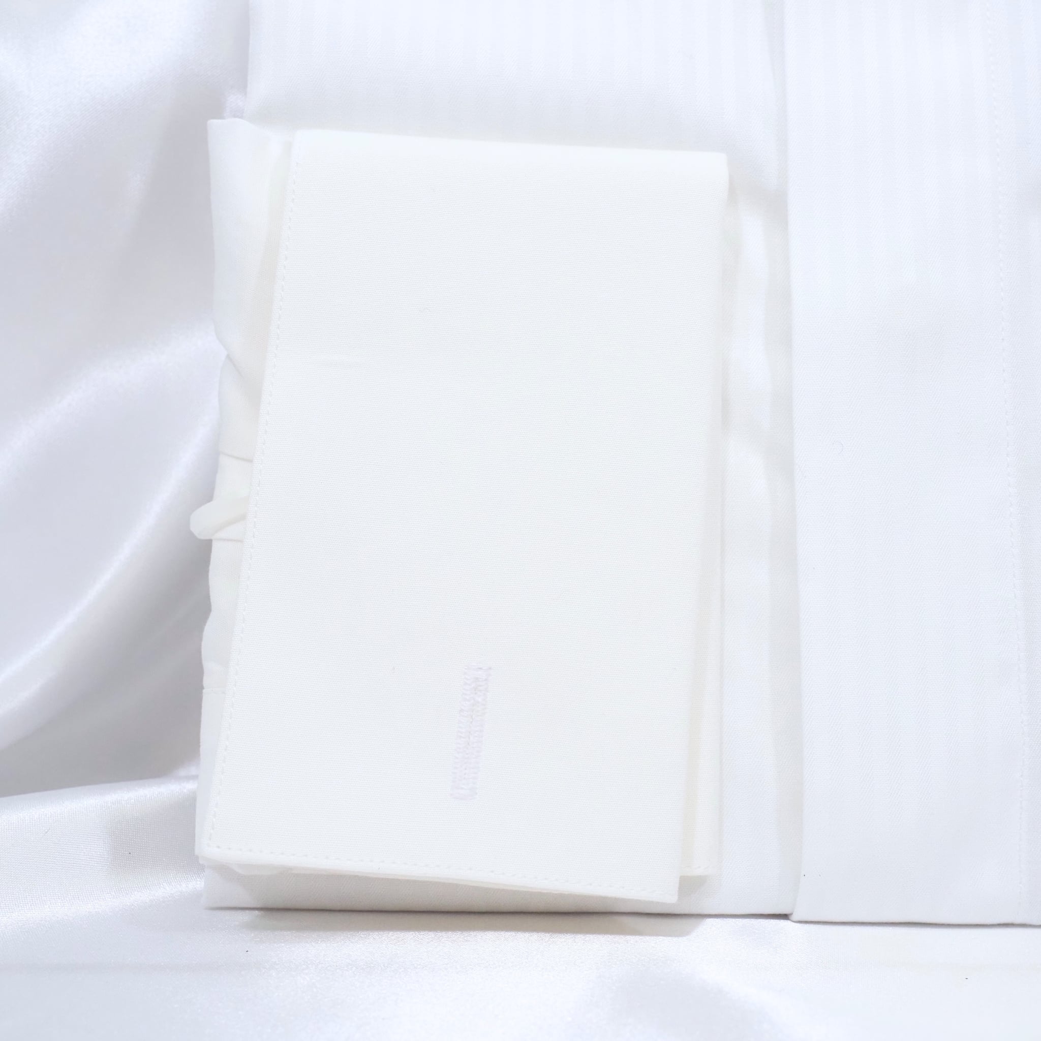 ウイングカラー【S】