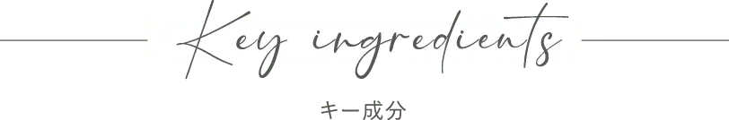 Key ingredients