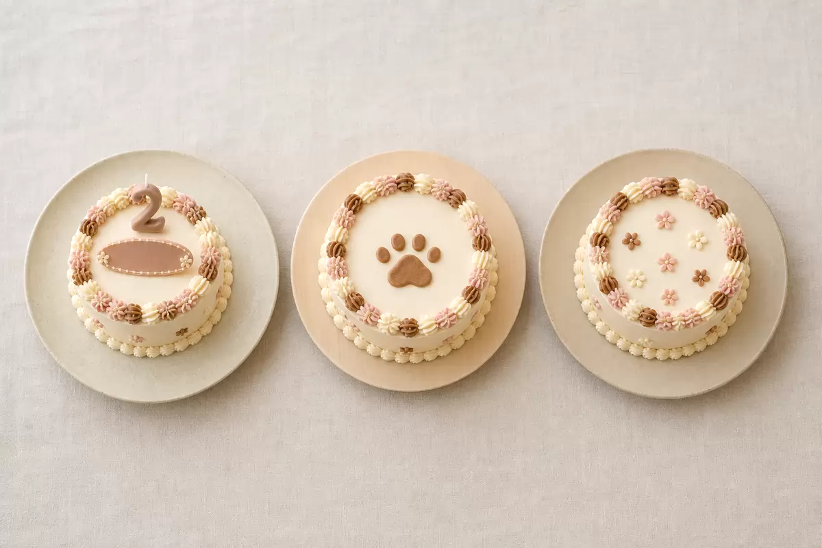 犬用ケーキの値段・相場は？価格帯とオーダーの違いのイメージ画像
