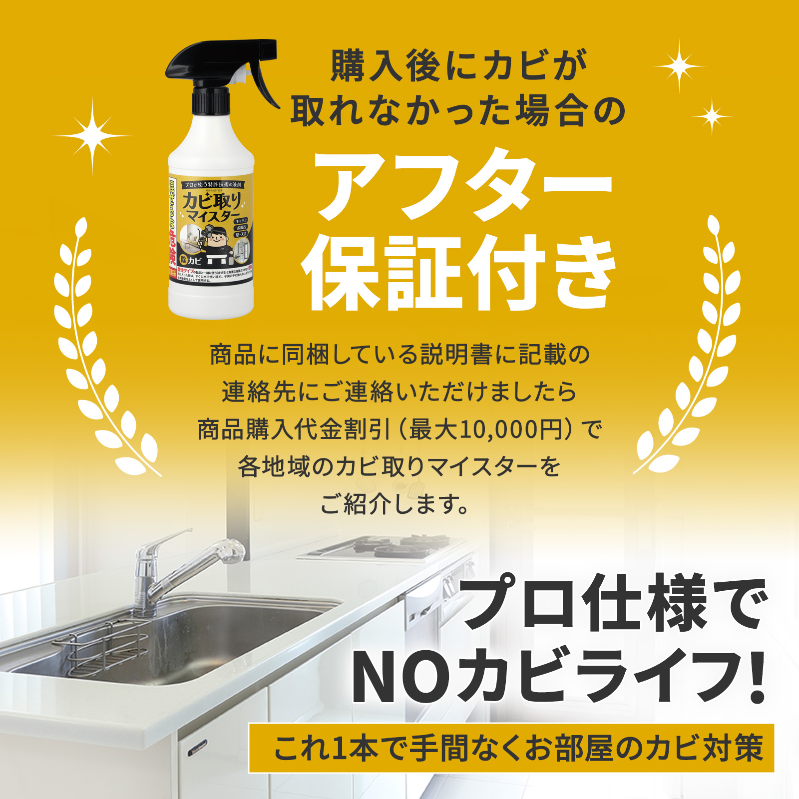 【送料無料】<br>カビ取りマイスター除カビ（スプレー） 