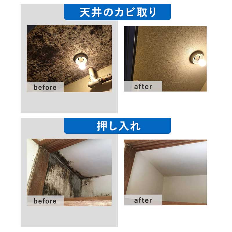 【送料無料】<br>カビ取りマイスター除カビ（スプレー） 