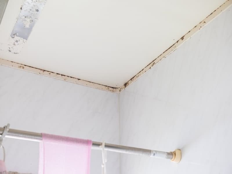 ゴムパッキンのカビ