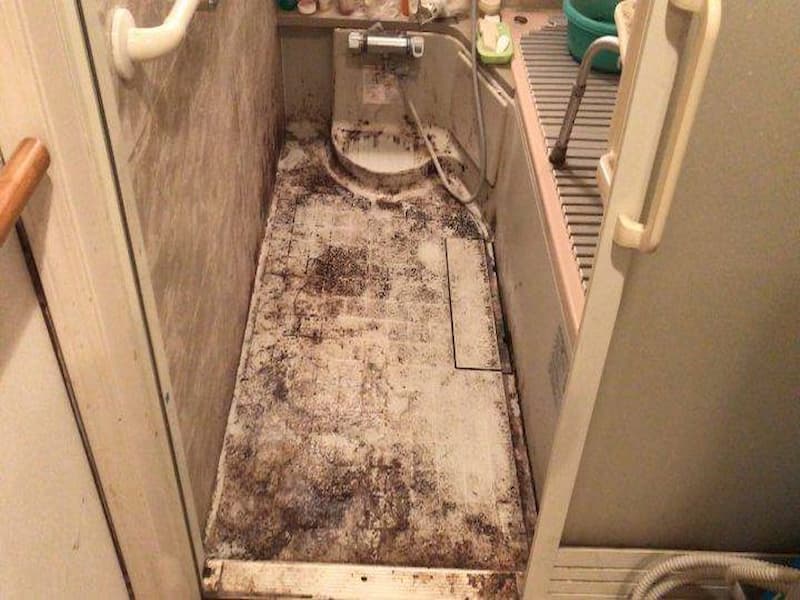 浴室の隅のカビ