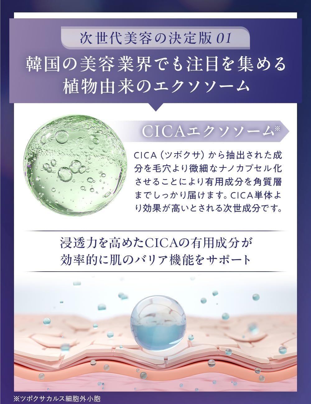 doum timeleap serum【2個セット】