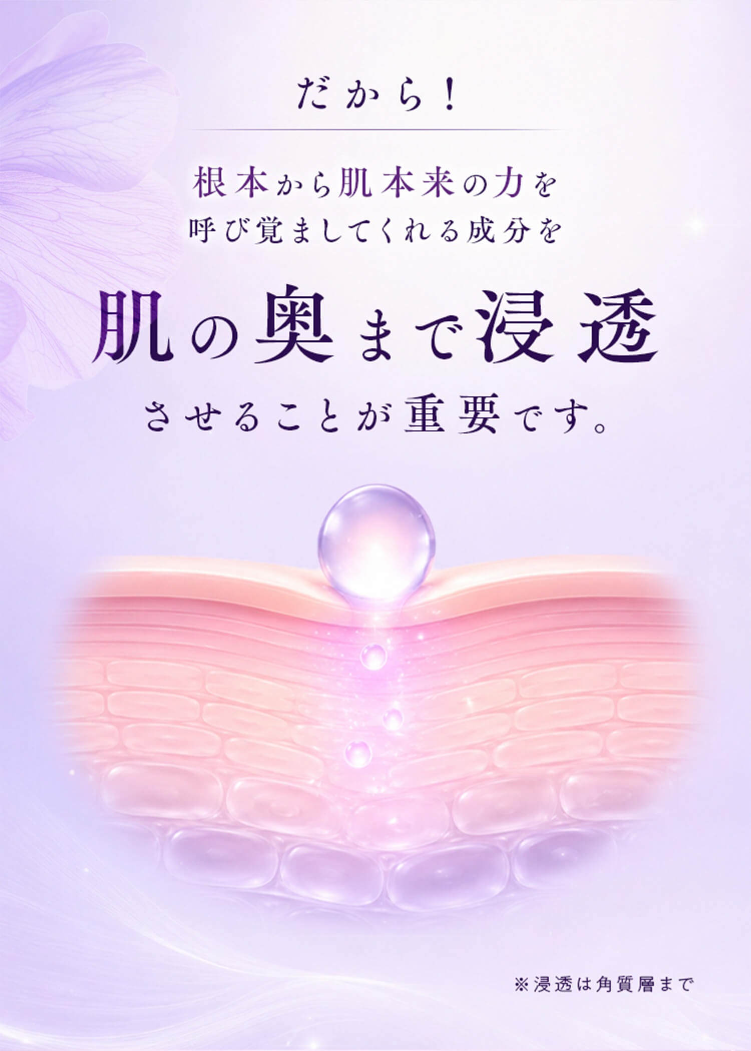 肌の奥まで浸透させることが重要です