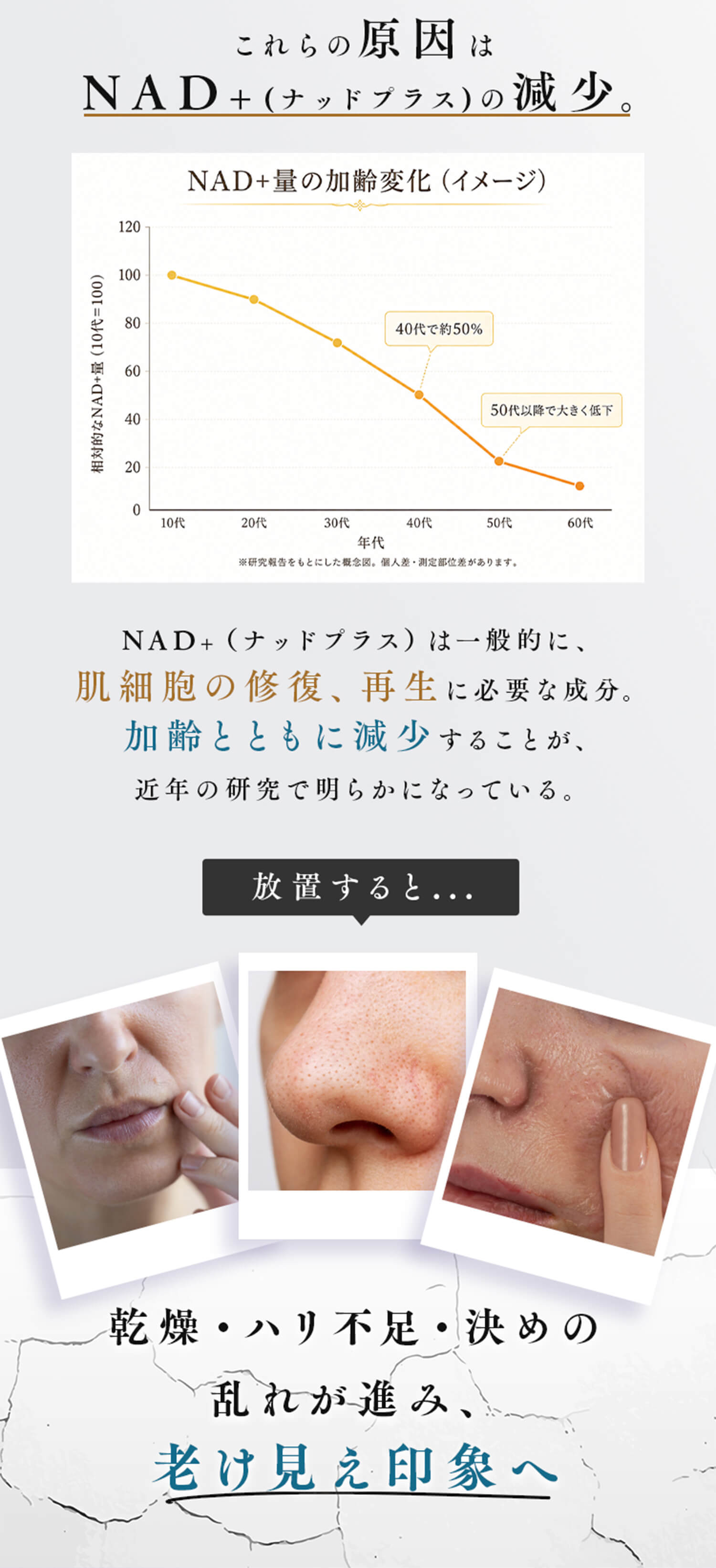 これらの原因はNAD+の減少