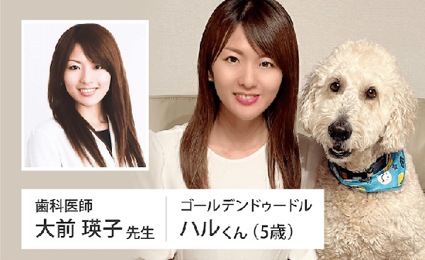 獣医監修と成分研究 2