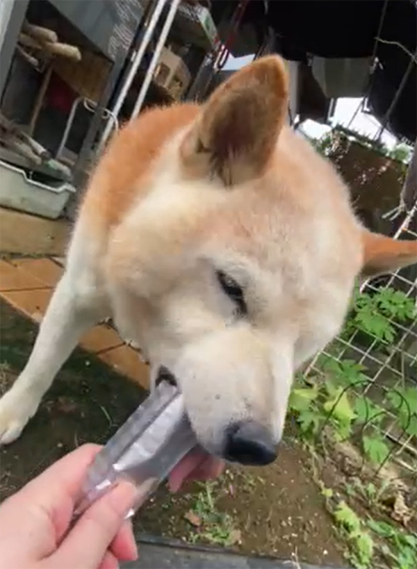 口腔ケアの新しい習慣へ 2
