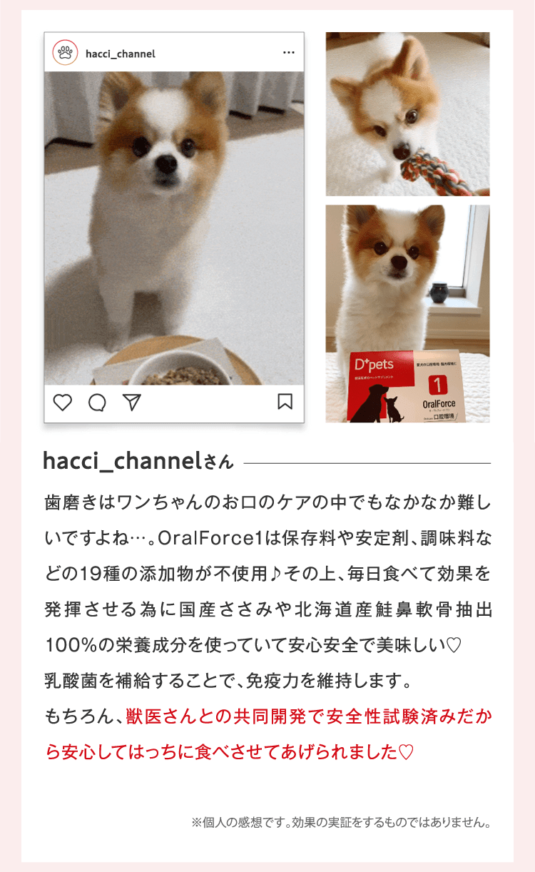 hacci_channelさん