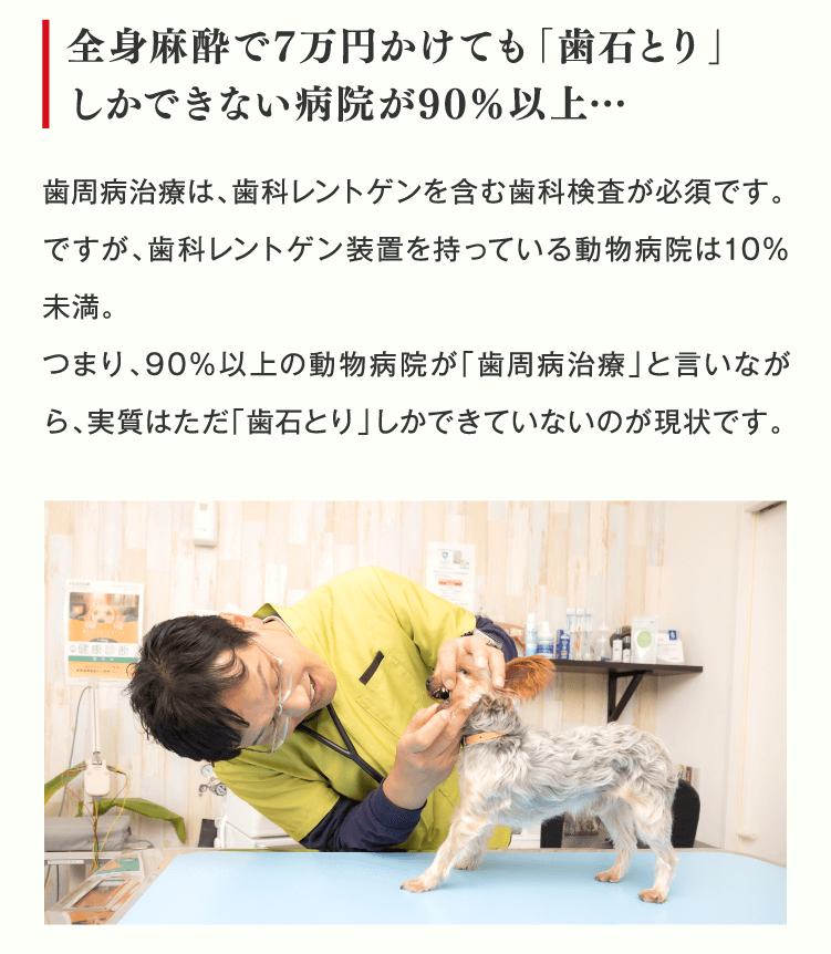 全身麻酔で7万円かけても「歯石とり」しかできない病院が90%以上…
