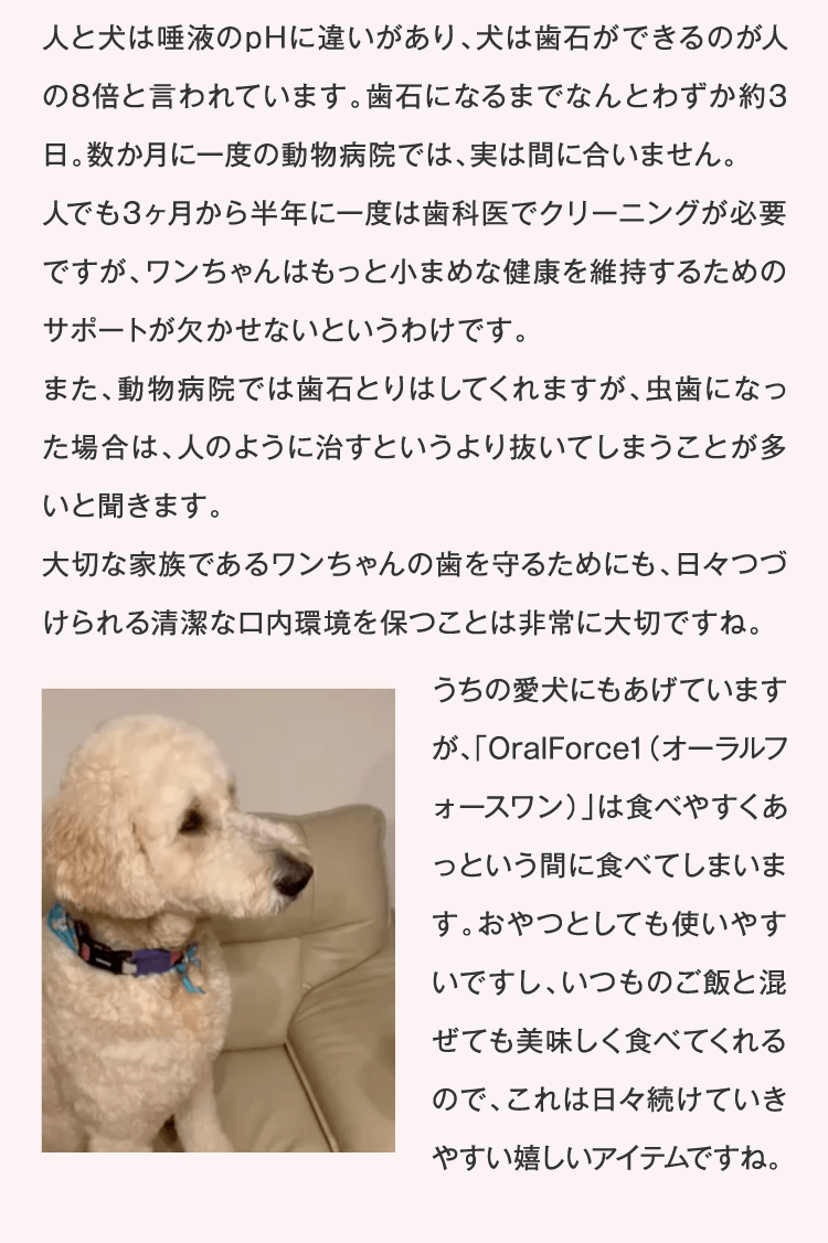 日々続けていきやすい嬉しいケアですね