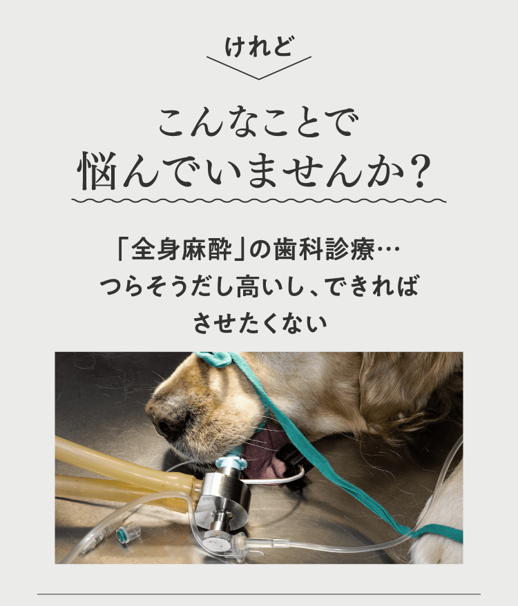 こんなことで悩んでいませんか？