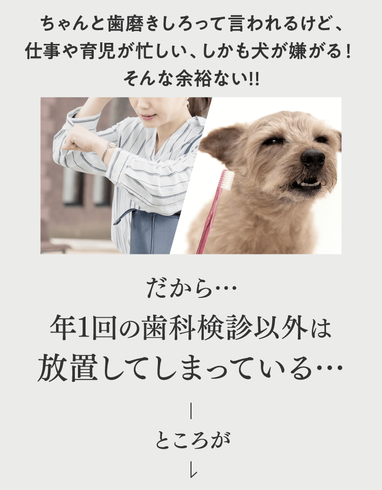 ちゃんと歯磨きしろって言われるけど、仕事や育児が忙しい、しかも犬が嫌がる!そんな余裕ない!!