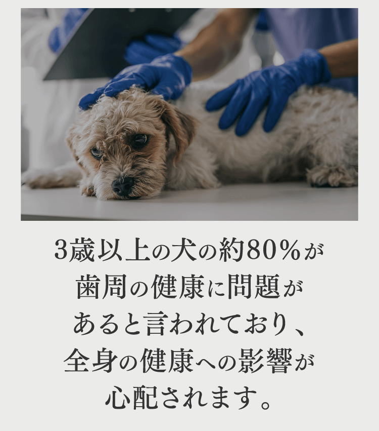 放置すると歯周病だけではなく深刻な病気のリスクまで…