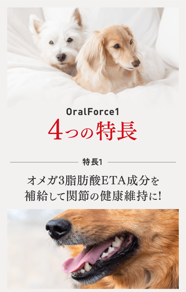 OralForce1 4つの特徴