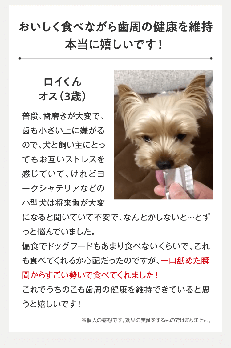 おいしく食べながら歯周病ケア…本当に嬉しいです!