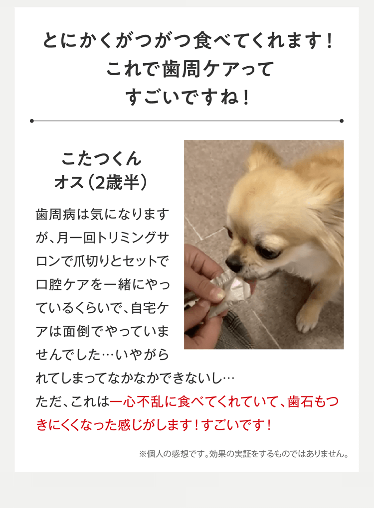 とにかくがつがつ食べてくれます!