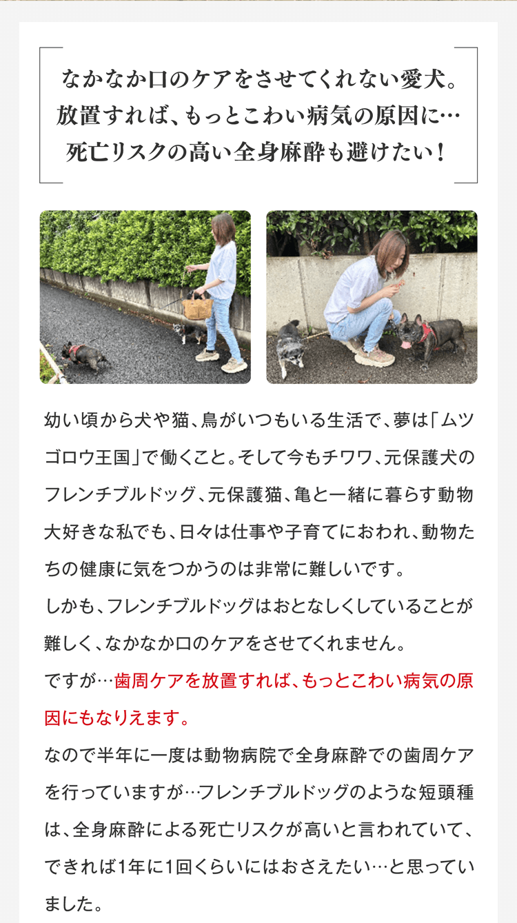 なかなか口のケアをさせてくれない愛犬。放置すれば、もっとこわい病気の原因に…
