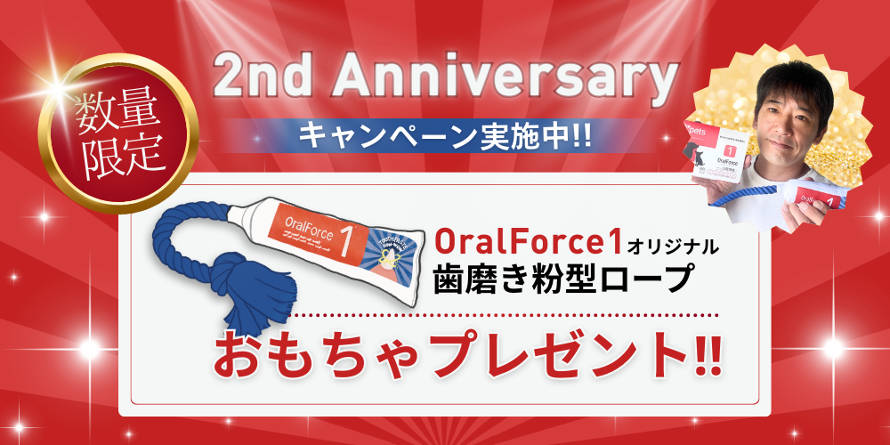 2周年歯磨き粉型おもちゃプレゼント